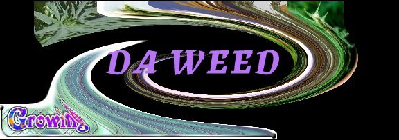 A Grower's Primer